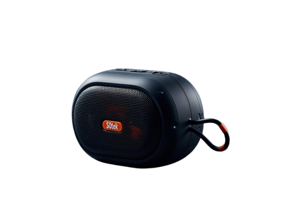 P2 Premium Quality Speaker