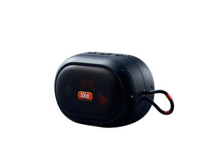 P2 Premium Quality Speaker