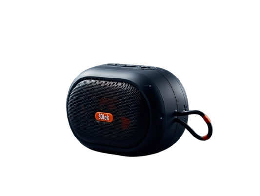 P2 Premium Quality Speaker