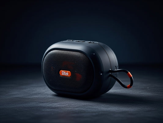 P2 Premium Quality Speaker